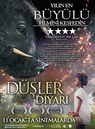 Düşler Diyarı afişi
