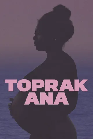 Görsel: TMDB Earth Mama afişi