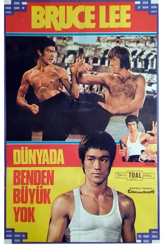 Görsel: TMDB Ejderin Dönüşü afişi