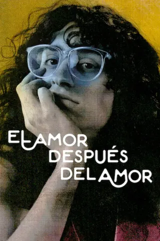 El amor después del amor afişi