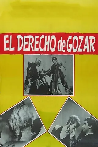 El Derecho de gozar afişi