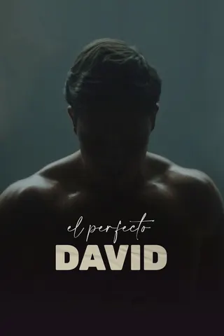 El perfecto David afişi