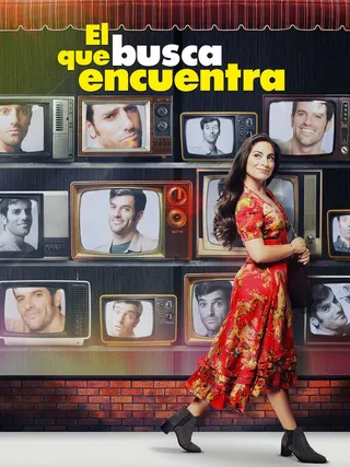 El que busca encuentra afişi