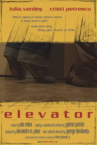 Görsel: TMDB Elevator afişi