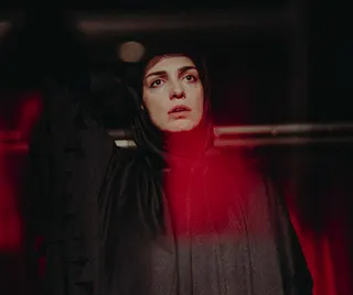 Görsel: Mehran Biparva مهران بیپروا / CC BY Elika Abdolrazzaghi