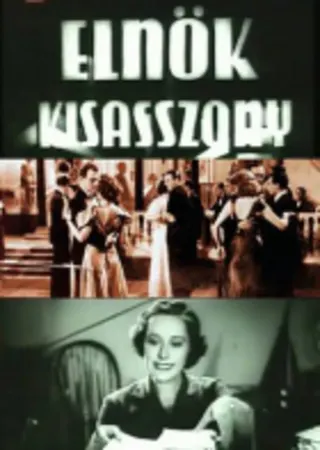 Elnökkisasszony afişi