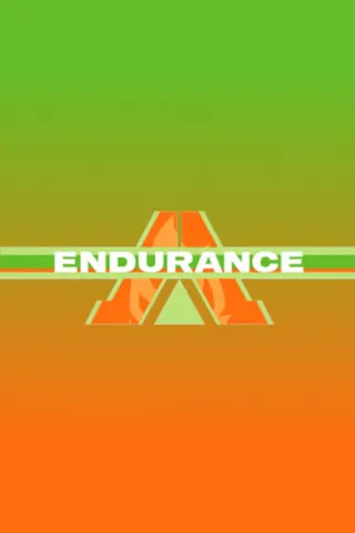 Endurance afişi