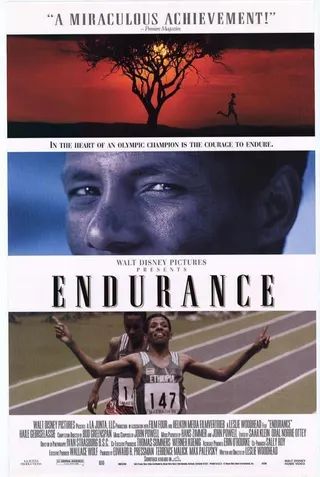 Görsel: TMDB Endurance afişi