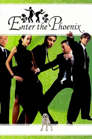 Enter the Phoenix afişi