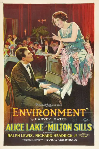 Environment afişi