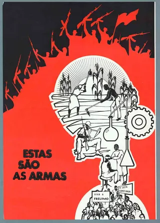 Estas são as armas afişi