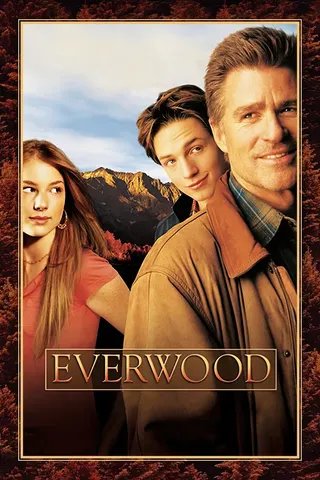 Görsel: TMDB Everwood afişi