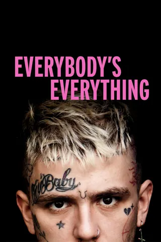 Görsel: TMDB Everybody's Everything afişi