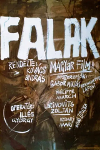 Görsel: TMDB Falak afişi