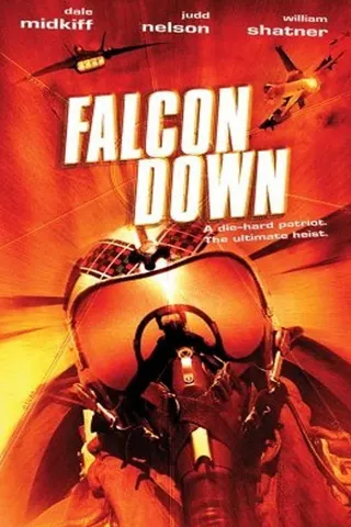 Görsel: TMDB Falcon Down afişi