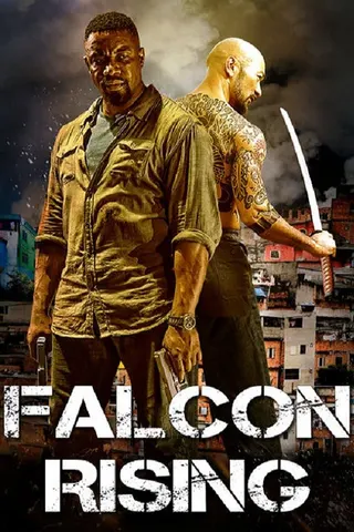 Görsel: TMDB Falcon Rising afişi