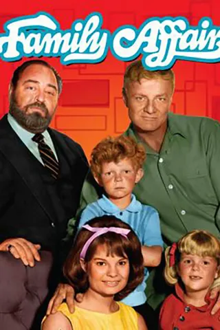 Görsel: TMDB Family Affair afişi