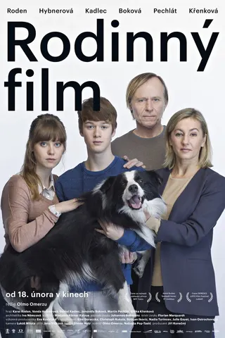 Family Film afişi