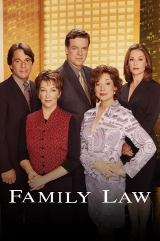Görsel: TMDB Family Law afişi