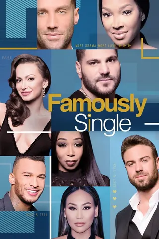 Görsel: TMDB Famously Single afişi