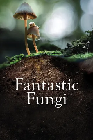 Fantastic Fungi afişi
