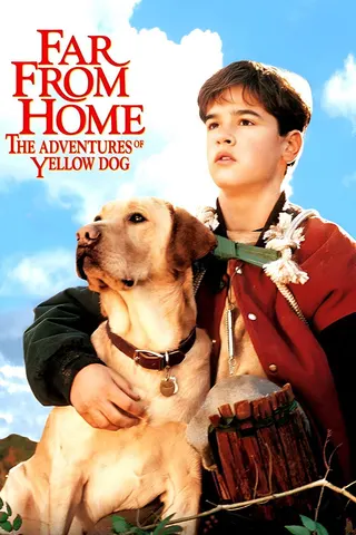 Görsel: TMDB Far from Home: The Adventures of Yellow Dog afişi