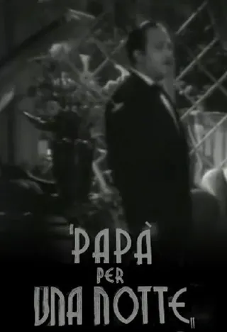Father For a Night afişi