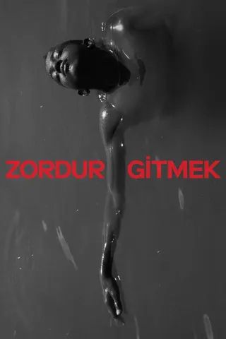Görsel: TMDB Faya Dayi afişi