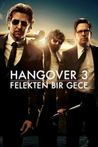 Felekten Bir Gece 3 afişi