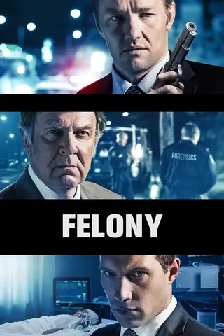 Felony afişi