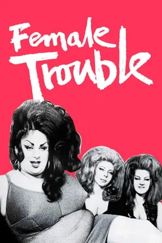Female Trouble afişi