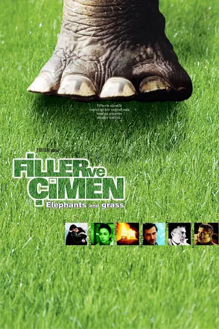 Filler ve Çimen afişi