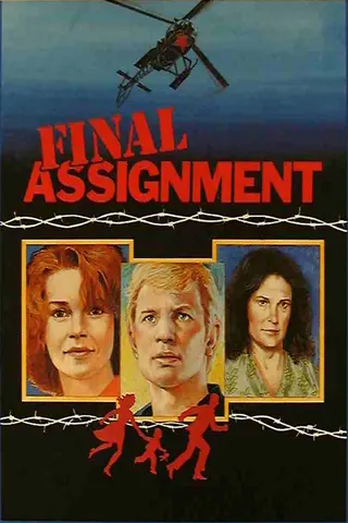 Görsel: TMDB Final Assignment afişi