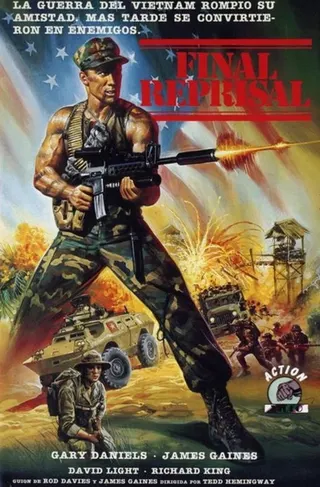 Görsel: TMDB Final Reprisal afişi
