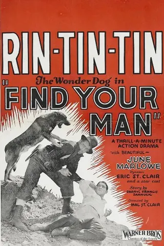 Görsel: TMDB Find Your Man afişi