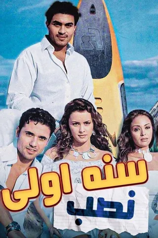 First Year of Deception afişi