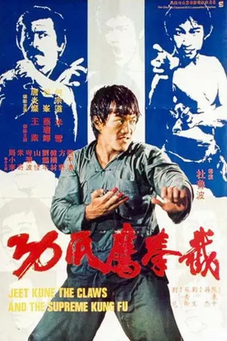 Fist of Fury III afişi