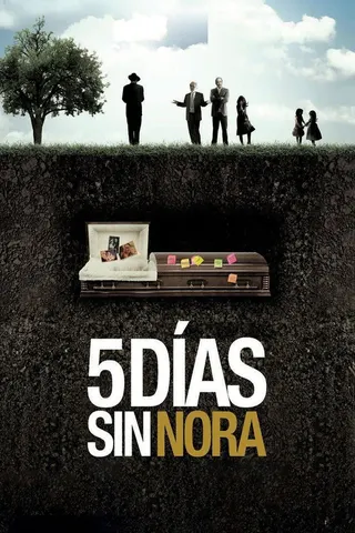 Five Days Without Nora afişi