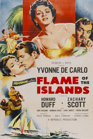 Görsel: TMDB Flame of the Islands afişi