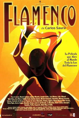 Görsel: TMDB Flamenco afişi