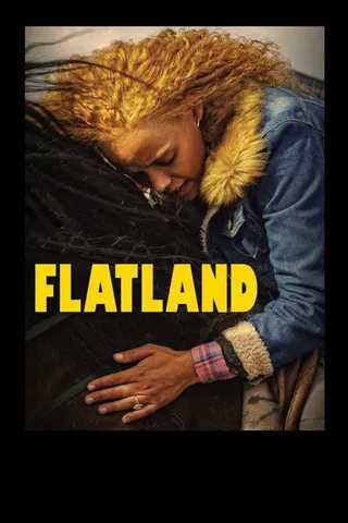 Flatland afişi