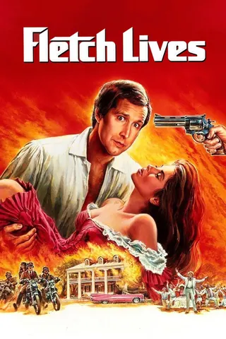 Fletch Lives afişi