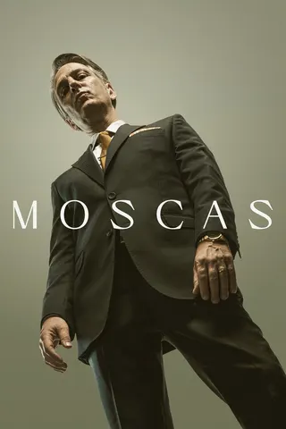 Flies afişi