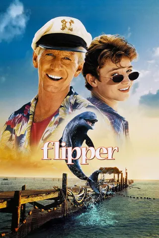 Flipper afişi