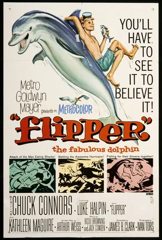 Flipper afişi