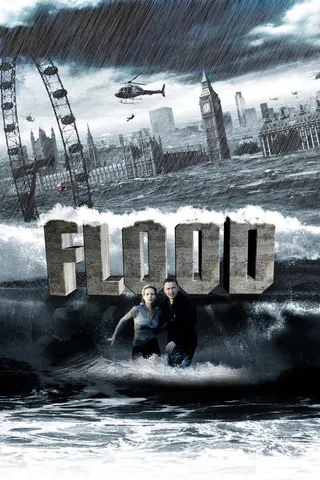 Flood afişi