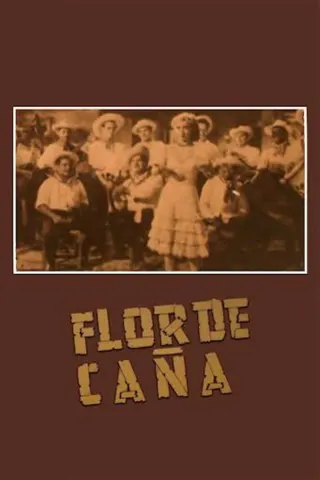 Görsel: TMDB Flor de caña afişi
