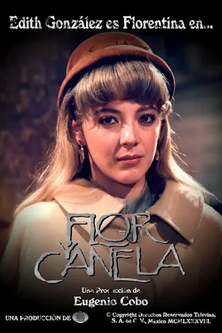 Flor y canela afişi