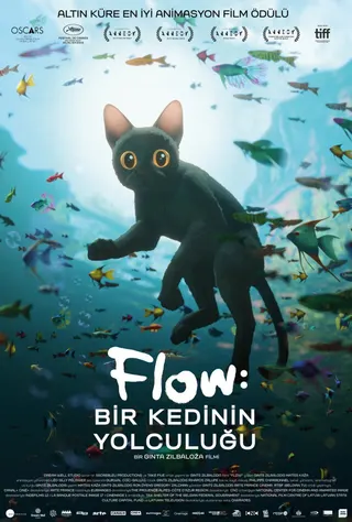 Görsel: TMDB Flow afişi