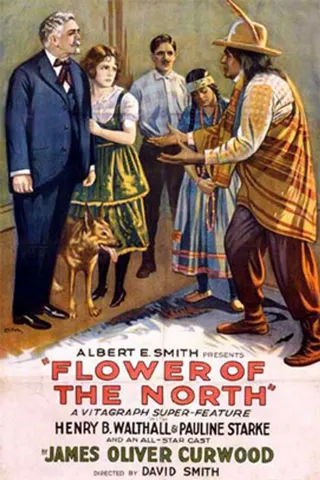 Görsel: TMDB Flower of the North afişi